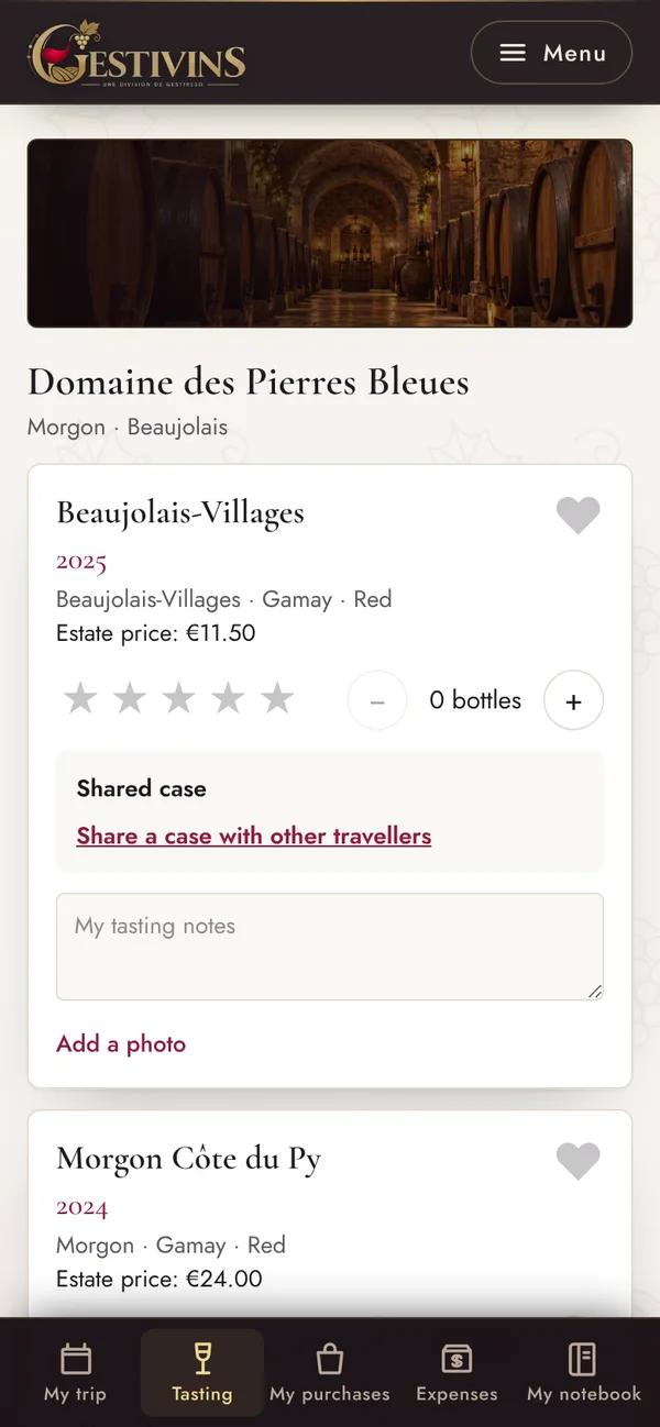 Screenshot of the Gestivins software: Travellers