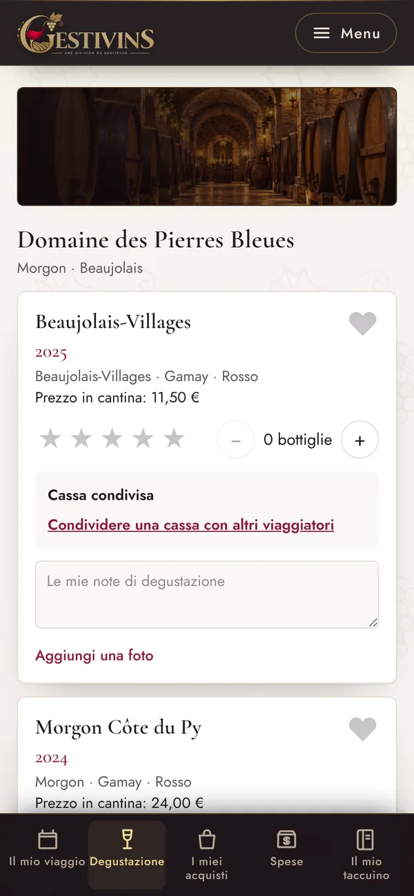 Schermata del software Gestivins: Viaggiatori